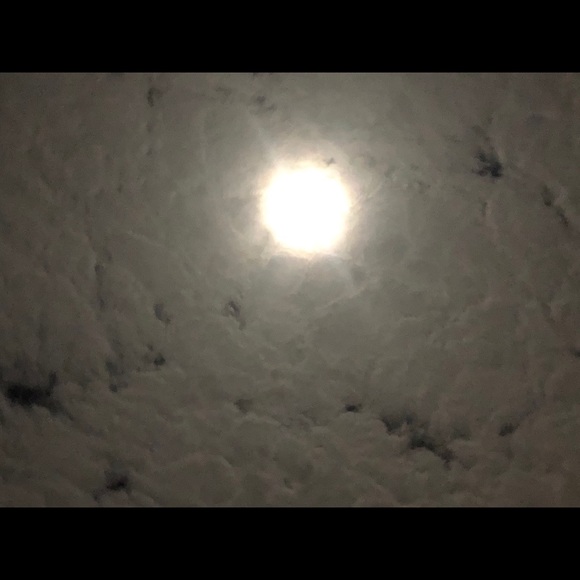 Not 4 sale - Picture 13 of 13